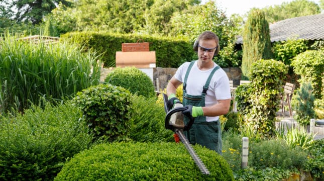 Basic things of a lawn care business