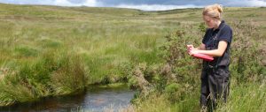 environmental consultants