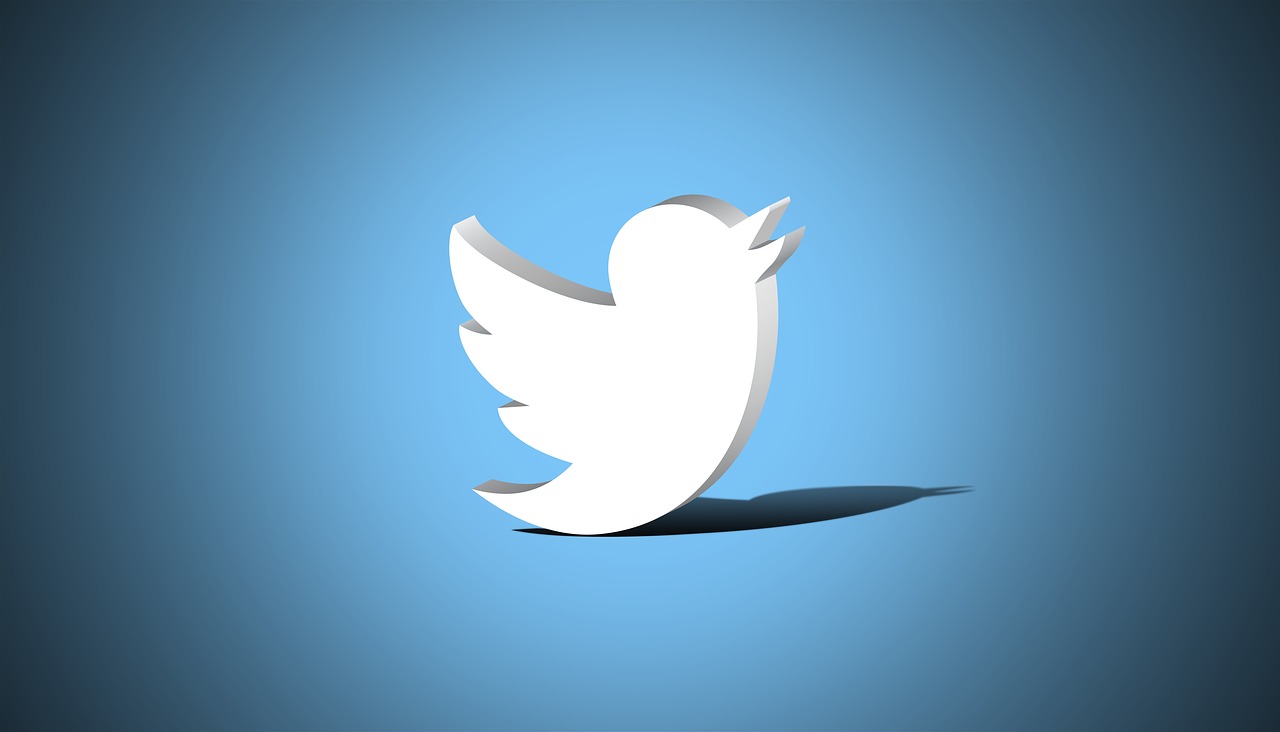 Why Should We Invest in Twitter Followers?